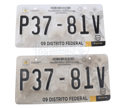 Lot # 21: Two "Getaway Car" License Plates