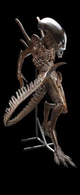 Lot #41 - ALIEN: RESURRECTION (1997) - Xenomorph Alien Display with Tail