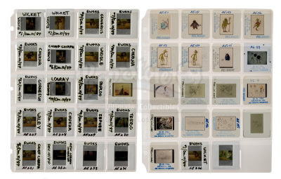 Lot #746 - STAR WARS: EWOKS (T.V. SERIES, 1985-1986) - Binder of 79 Production Slides