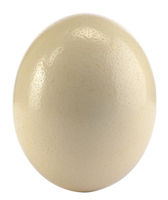 Lot #216 - JURASSIC WORLD (2015) - Dinosaur Egg