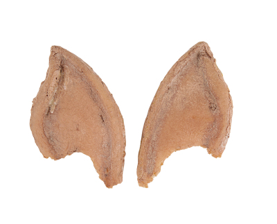 Lot #308 - STAR TREK III: THE SEARCH FOR SPOCK (1984) - Spock (Leonard Nimoy) Prosthetic Vulcan Ear Tips